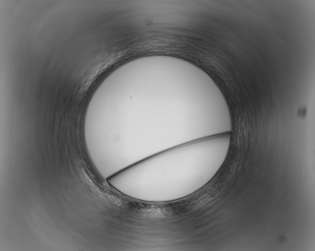 X0000115700404200912031510