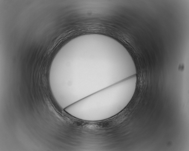 X0000115700408200912031510