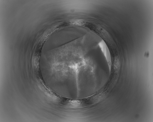 X0000115700409200912031510