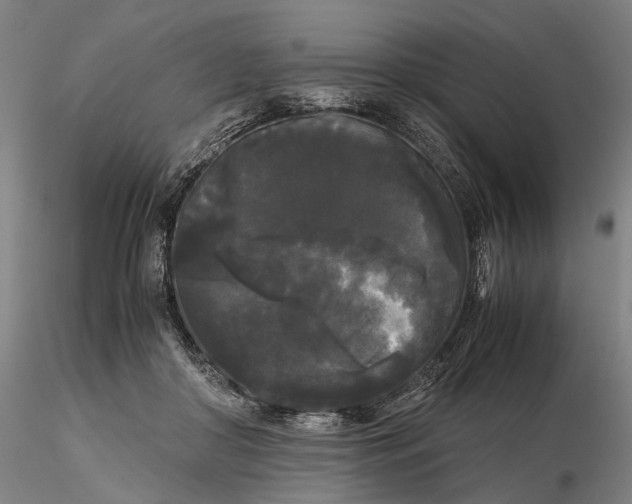 X0000115700410200912031510