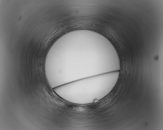 X0000115700412200912031510