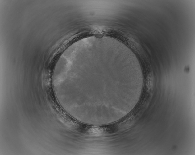 X0000115700413200912031510