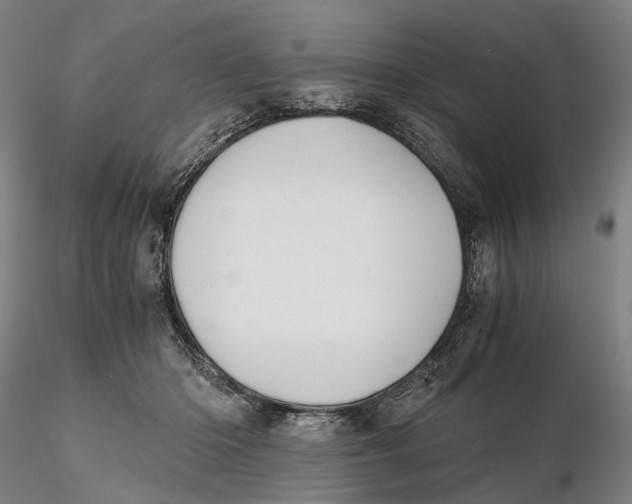 X0000115700414200912031510