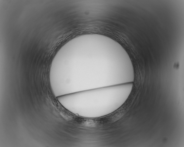 X0000115700416200912031510