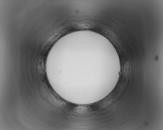 X0000115700418200912031510