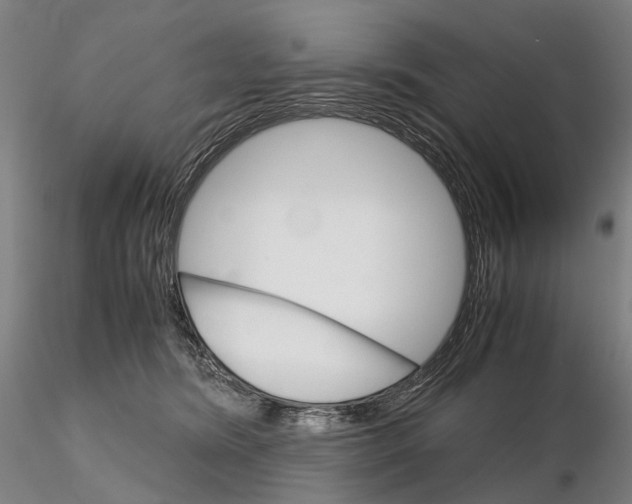 X0000115700420200912031510