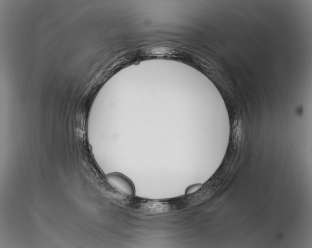 X0000115700421200912031510