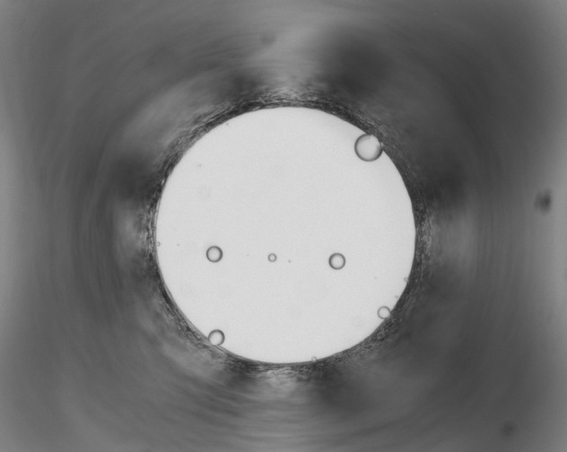 X0000115700423200912031510