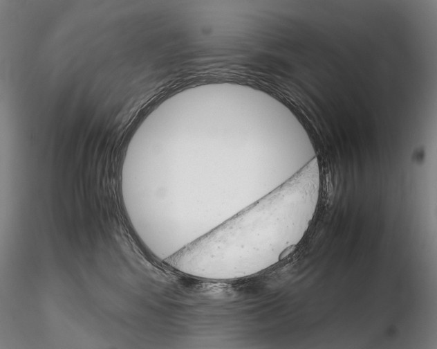 X0000115700424200912031510