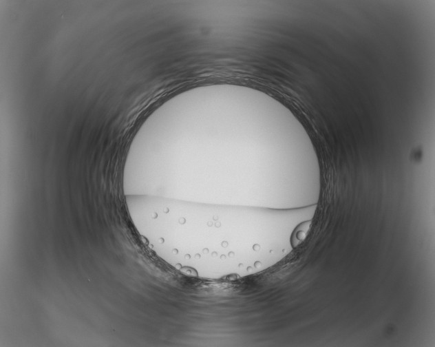 X0000115700428200912031510