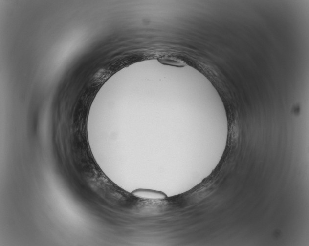 X0000115700429200912031510