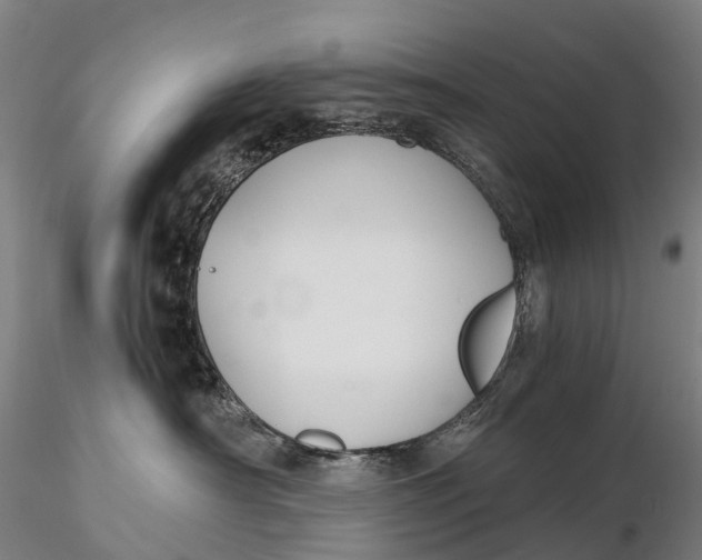 X0000115700430200912031510