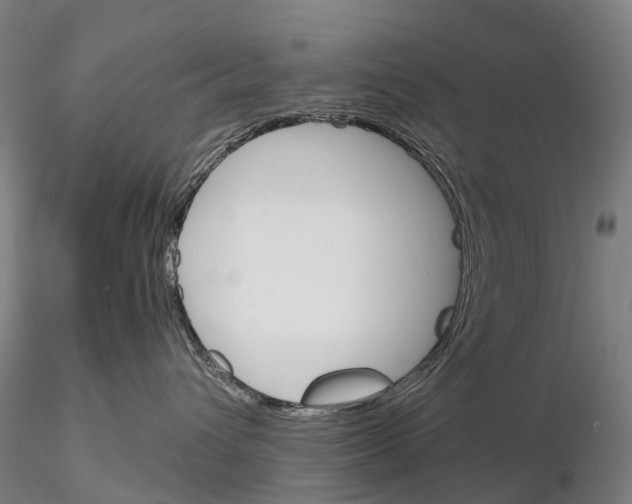 X0000115700432200912031510