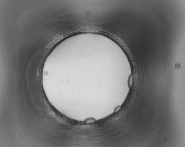 X0000115700433200912031509