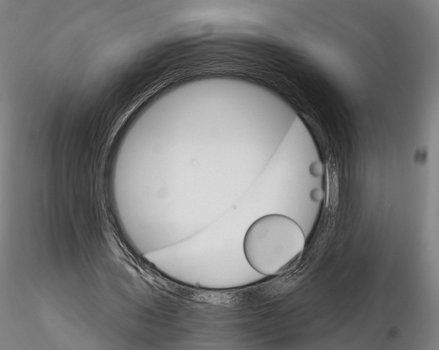 X0000115700435200912031509