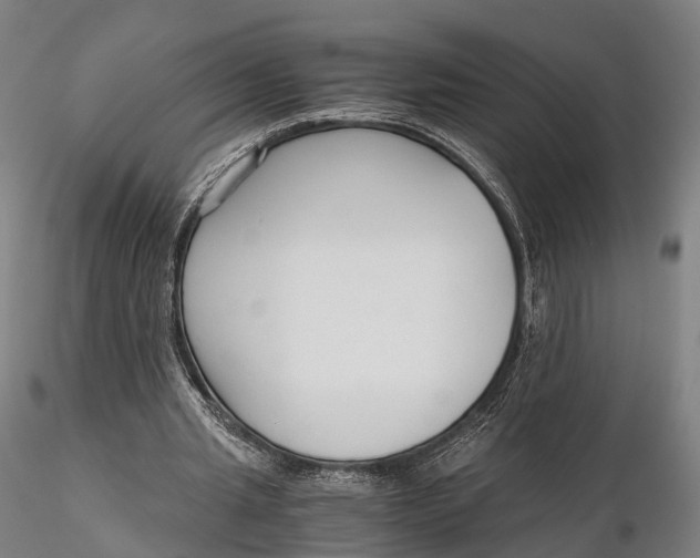 X0000115700437200912031509