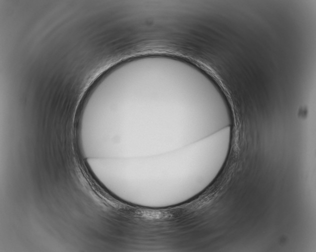 X0000115700439200912031509