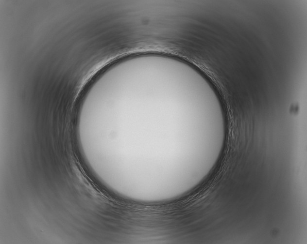 X0000115700440200912031509