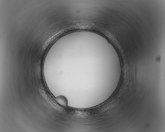 X0000115700442200912031509