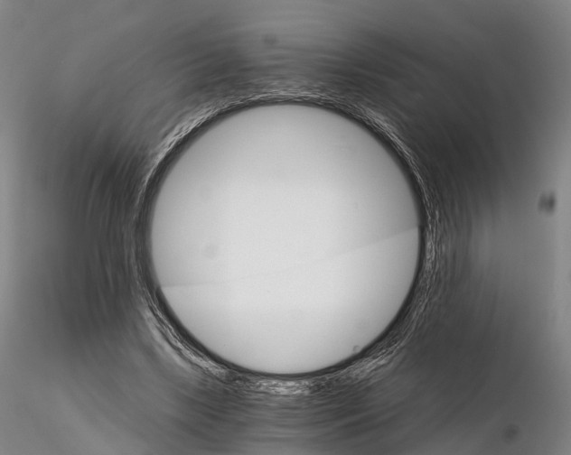 X0000115700443200912031509