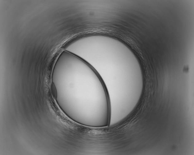 X0000115700444200912031509