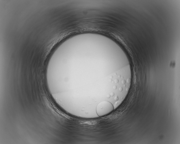 X0000115700447200912031509