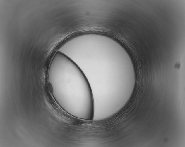 X0000115700448200912031509