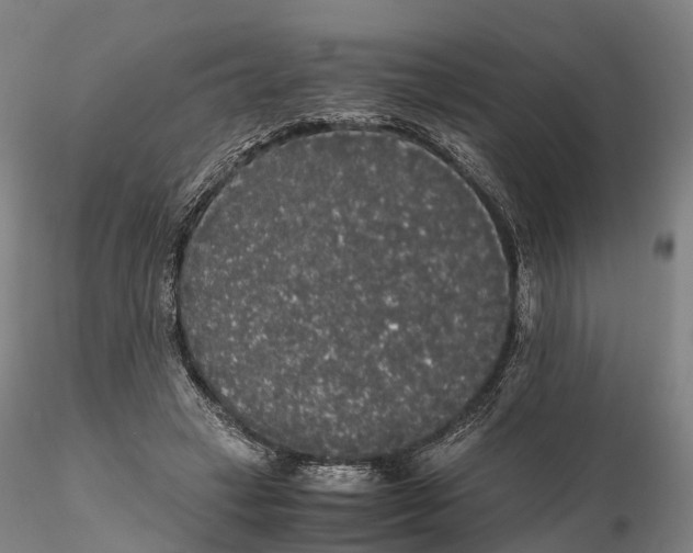 X0000115700449200912031509