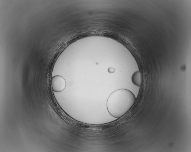 X0000115700451200912031509