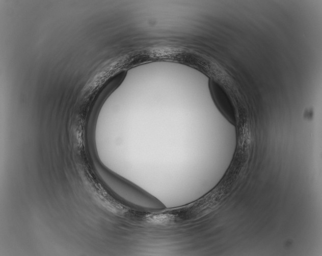 X0000115700452200912031509