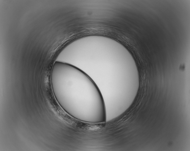 X0000115700456200912031509