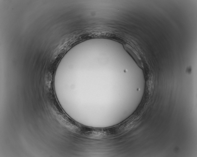 X0000115700458200912031509