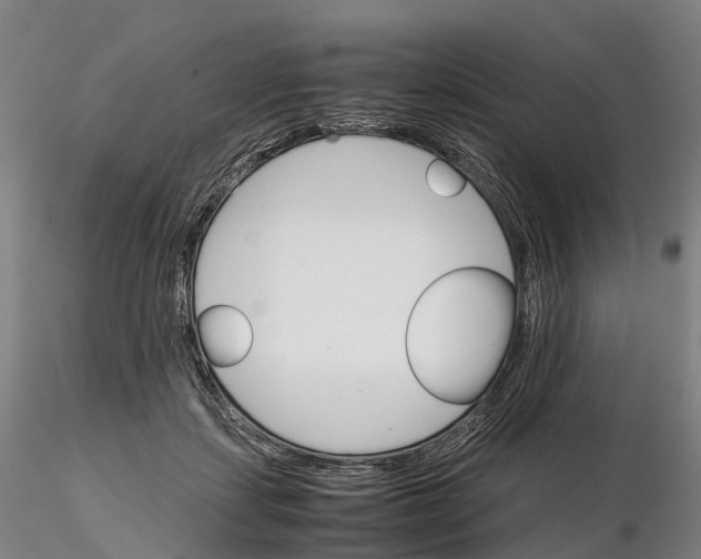 X0000115700459200912031509