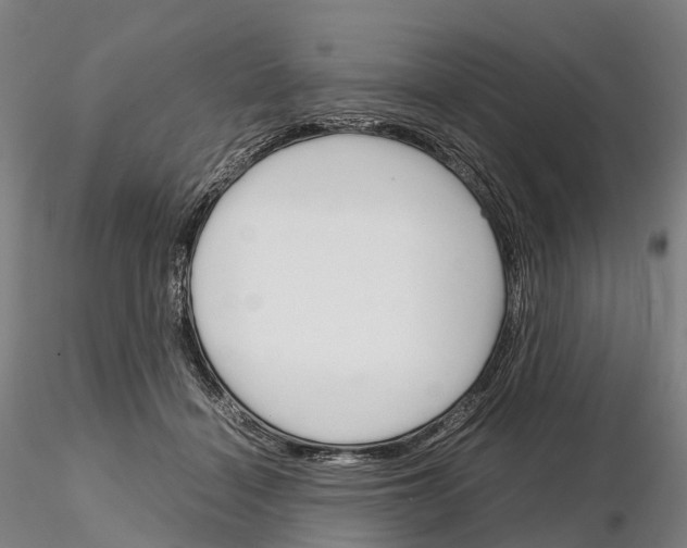 X0000115700460200912031509