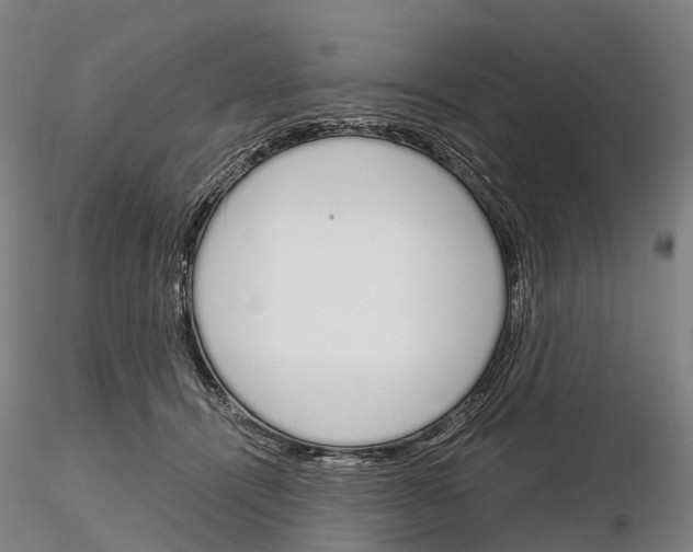 X0000115700464200912031509