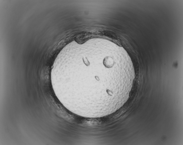 X0000115700466200912031509