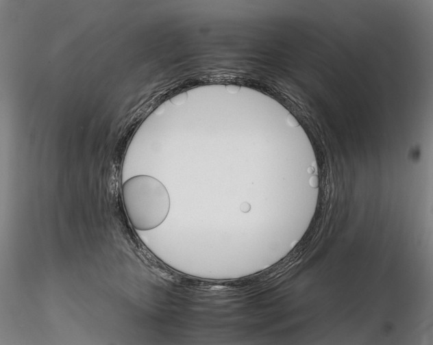 X0000115700467200912031509