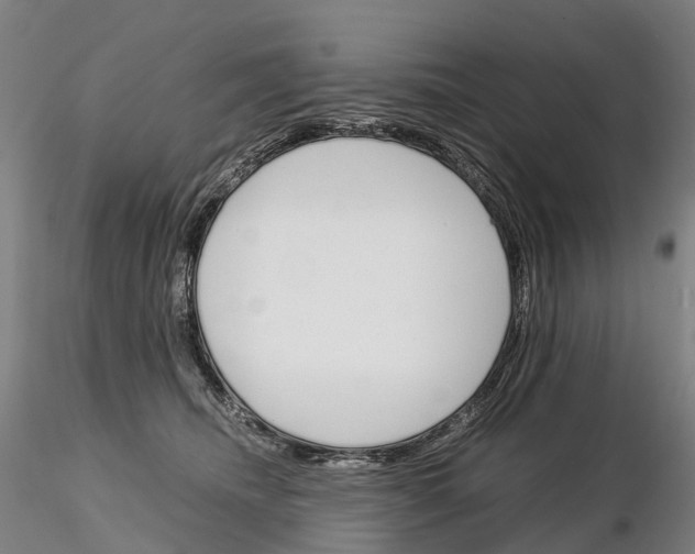 X0000115700468200912031509