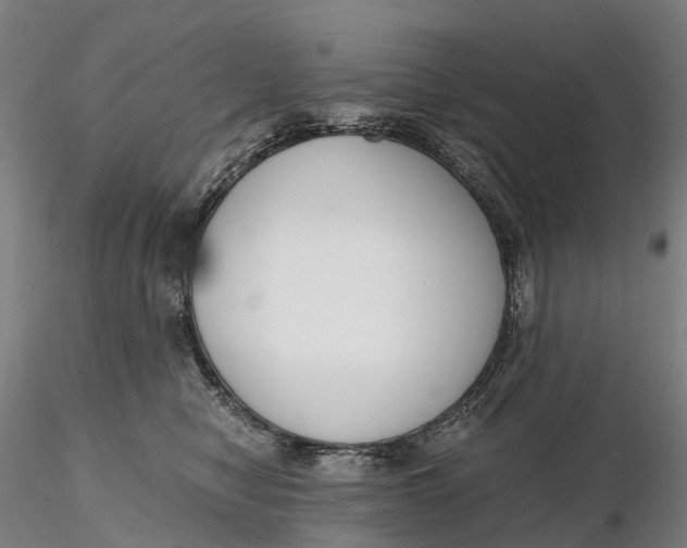 X0000115700470200912031509