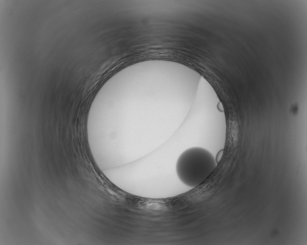 X0000115700475200912031509