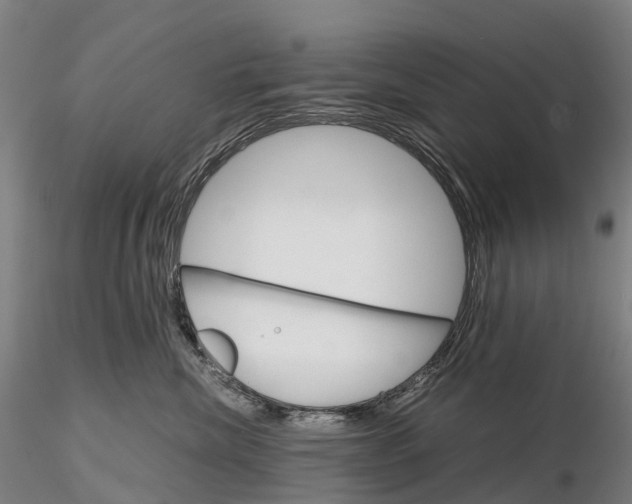 X0000115700476200912031509