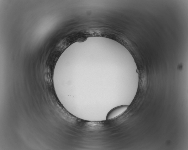 X0000115700477200912031509