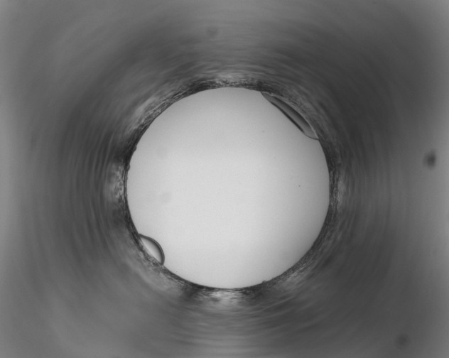 X0000115700478200912031510