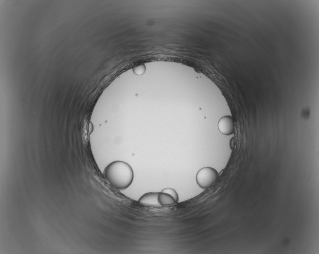 X0000115700479200912031510