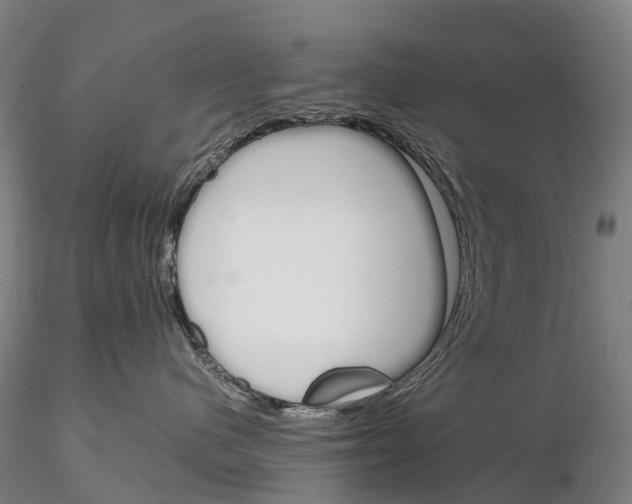 X0000115700480200912031510