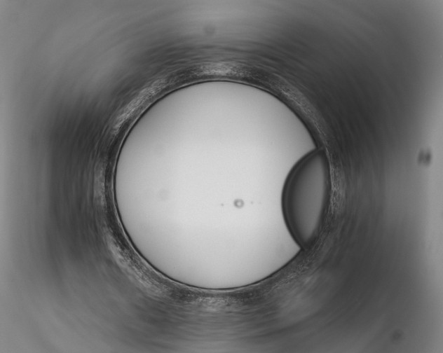 X0000115700482200912031509