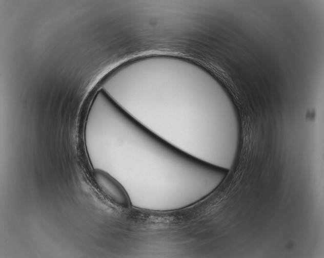 X0000115700484200912031509