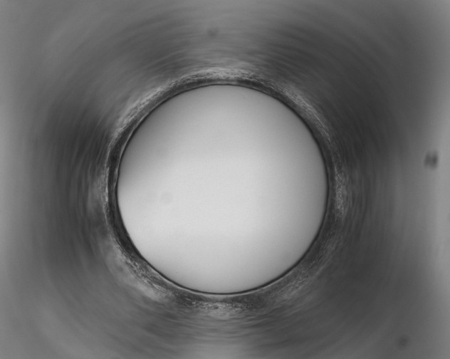 X0000115700486200912031509