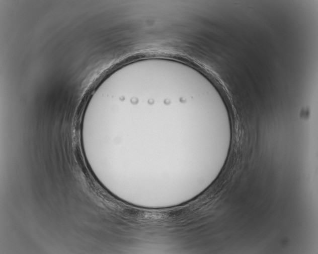 X0000115700487200912031509