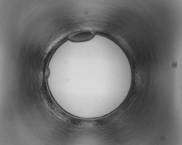 X0000115700488200912031509